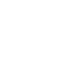 4_Patrimonium