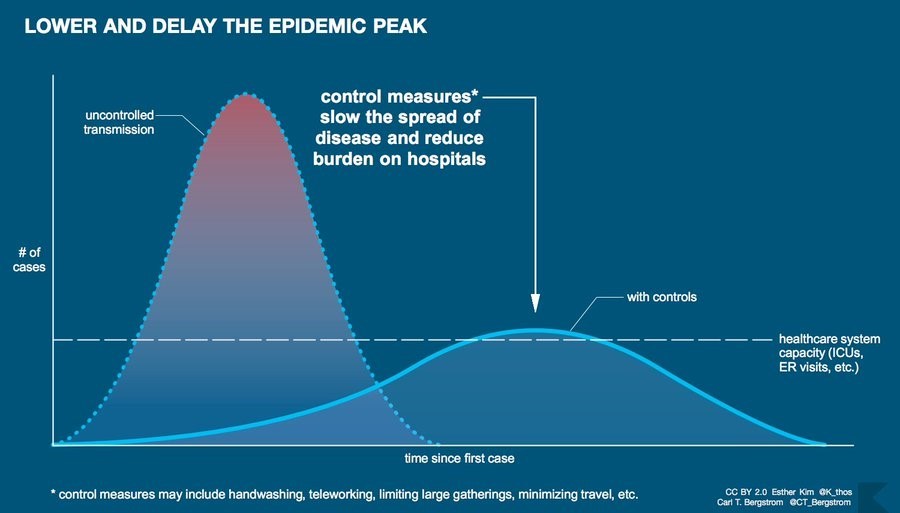 Figure 2: Dr. Bergstrom analysis of COVID19 cases evolution with and without controls (Lancina, 2020)