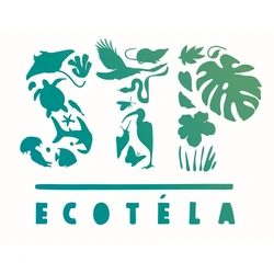 EcoTela Fund | Hatch at BirdLife
