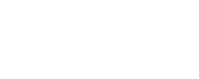 Local Councillors Network logo