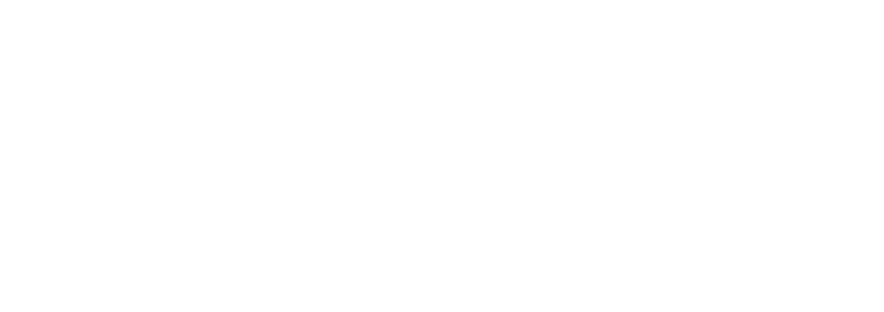 Local Councillors Network logo