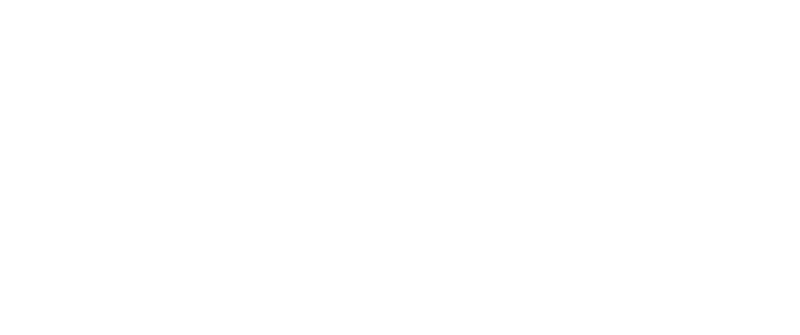 Network to Engineer a Safer Tomorrow logo