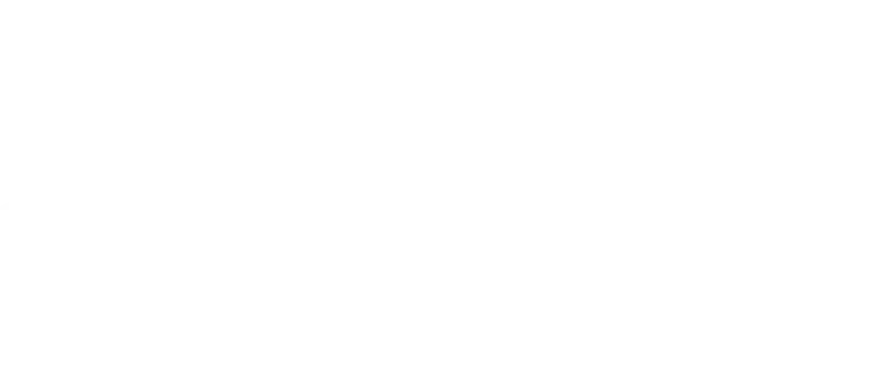 Network to Engineer a Safer Tomorrow logo