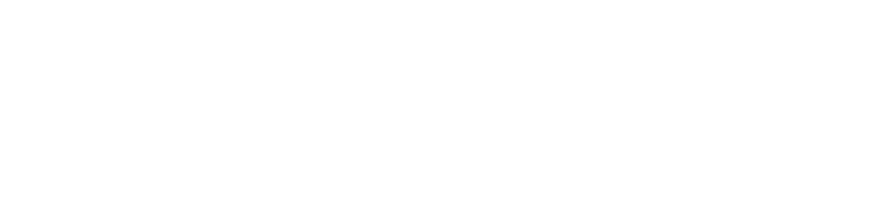 Practicus logo