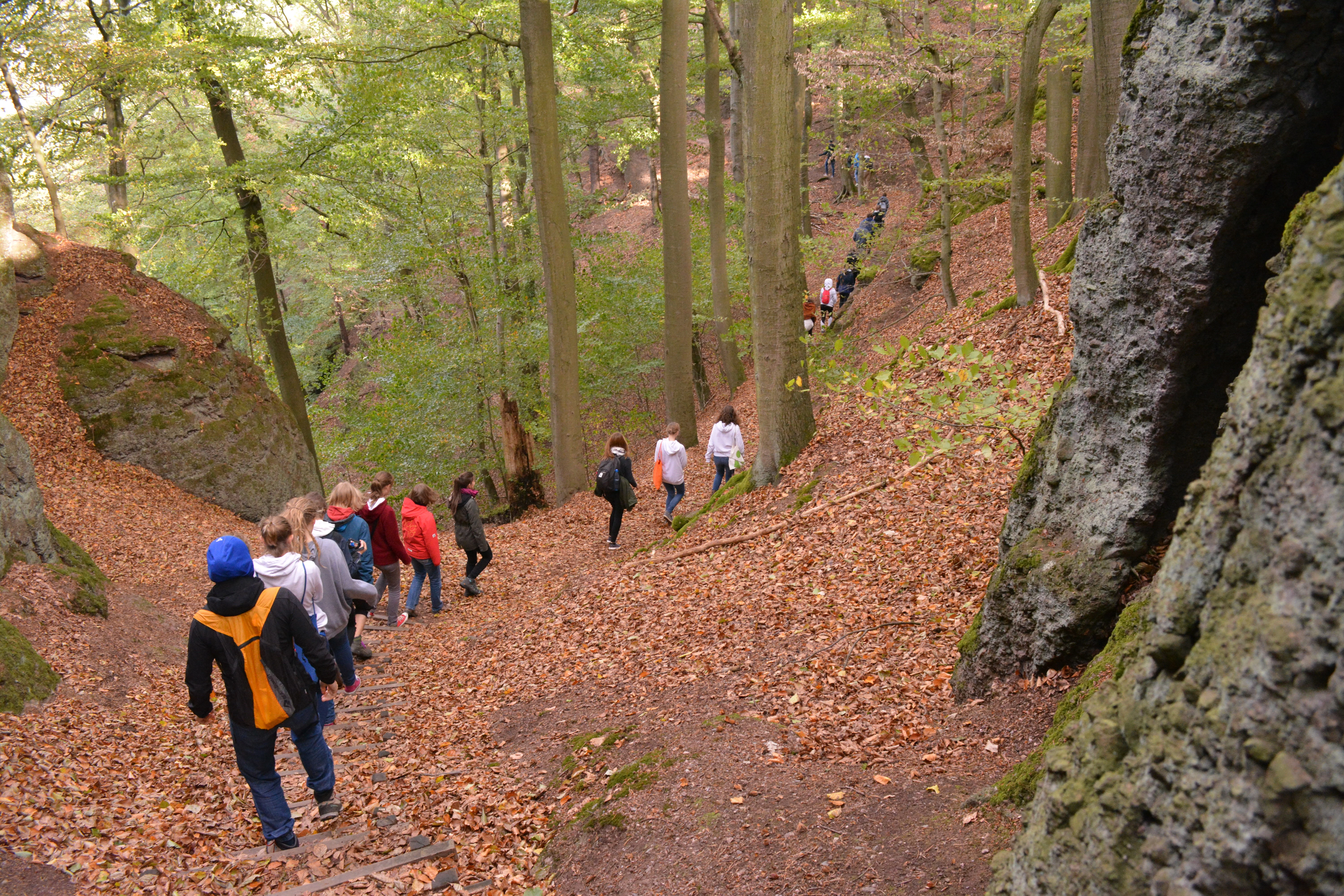 Das Bild zeigt eine Gruppe, die einen Pfad entlang durch einen Laubwald in eine Schlucht hinunter läuft. Rechts und links sind große Felsen zu sehen.