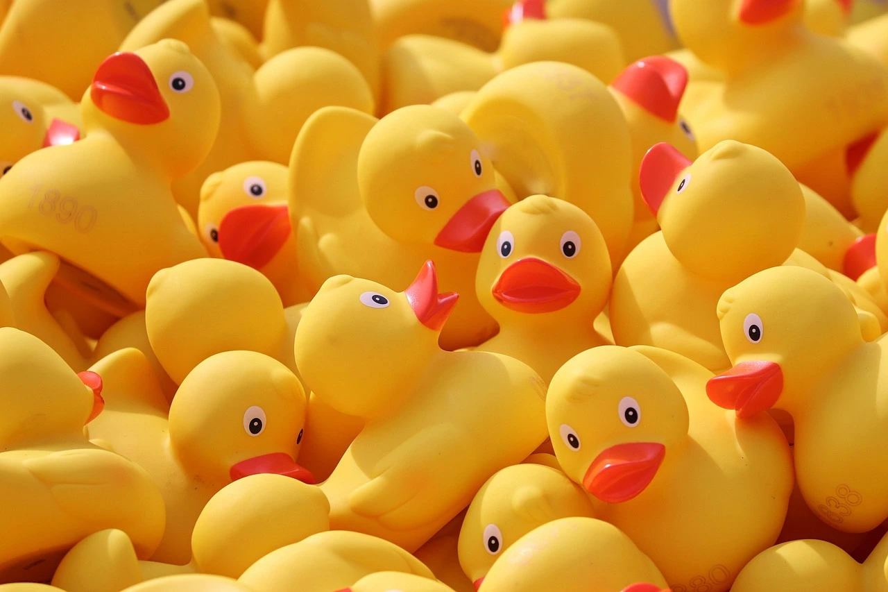 Das Bild zeigt viele gelbe Enten aus Plastik