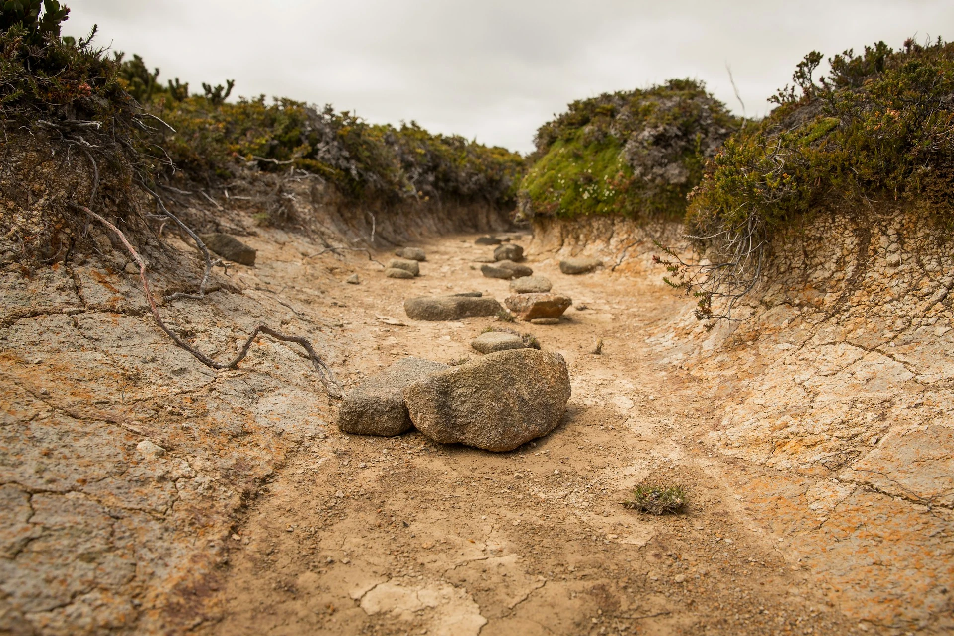 ein ausgetrocknetes, tiefes Flussbett, an den Ufern etwas Gras