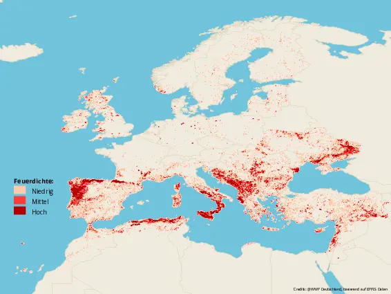 Die Grafik zeigt eine Europakarte, auf der die Waldbrände eingezeichnet sind. Die meisten Brände sind im Mittelmeerraum