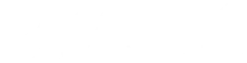 Baltic Community  logo