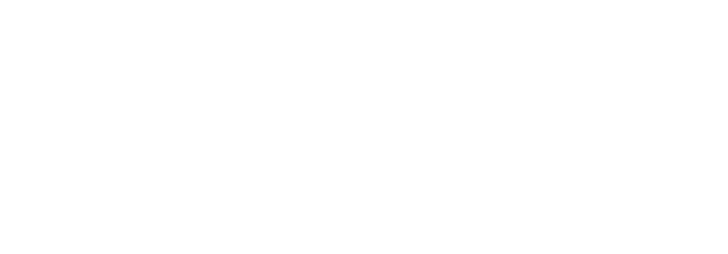 Egin logo
