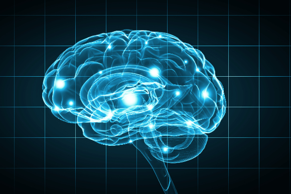 Brain institute