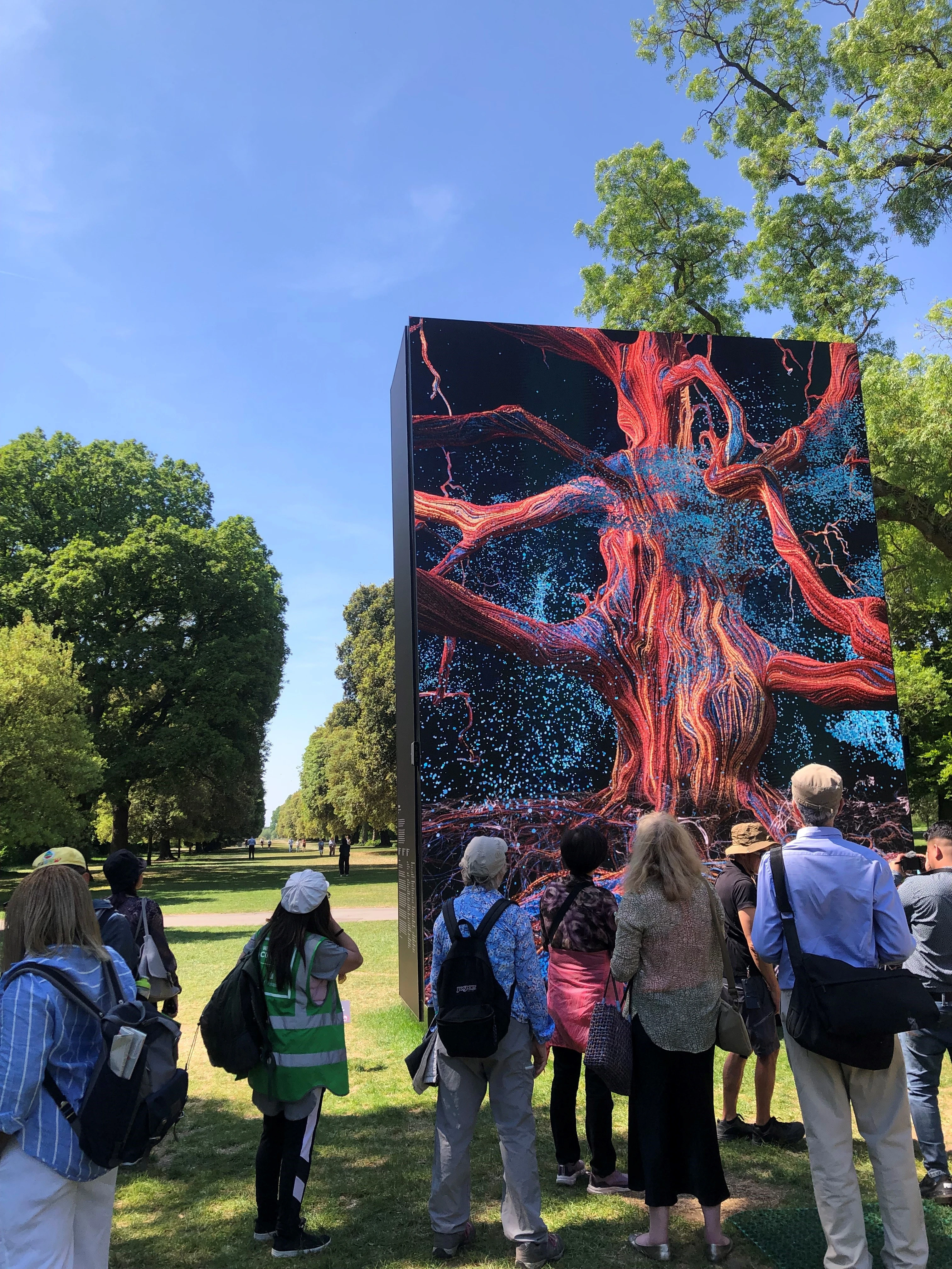 A group of volunteers facing an outdoor art exhibit, showing an electronic display of roots growing into a tree. Behind the exhibit is a long garden and a sunny blue sky.