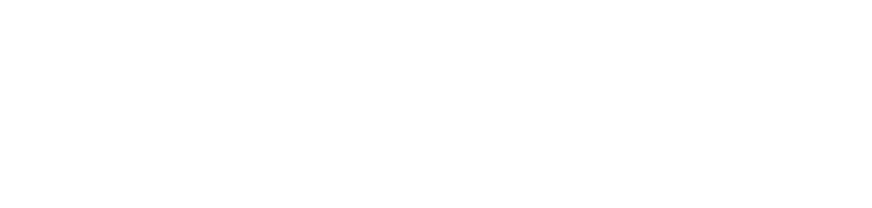 Toigo Marketplace logo