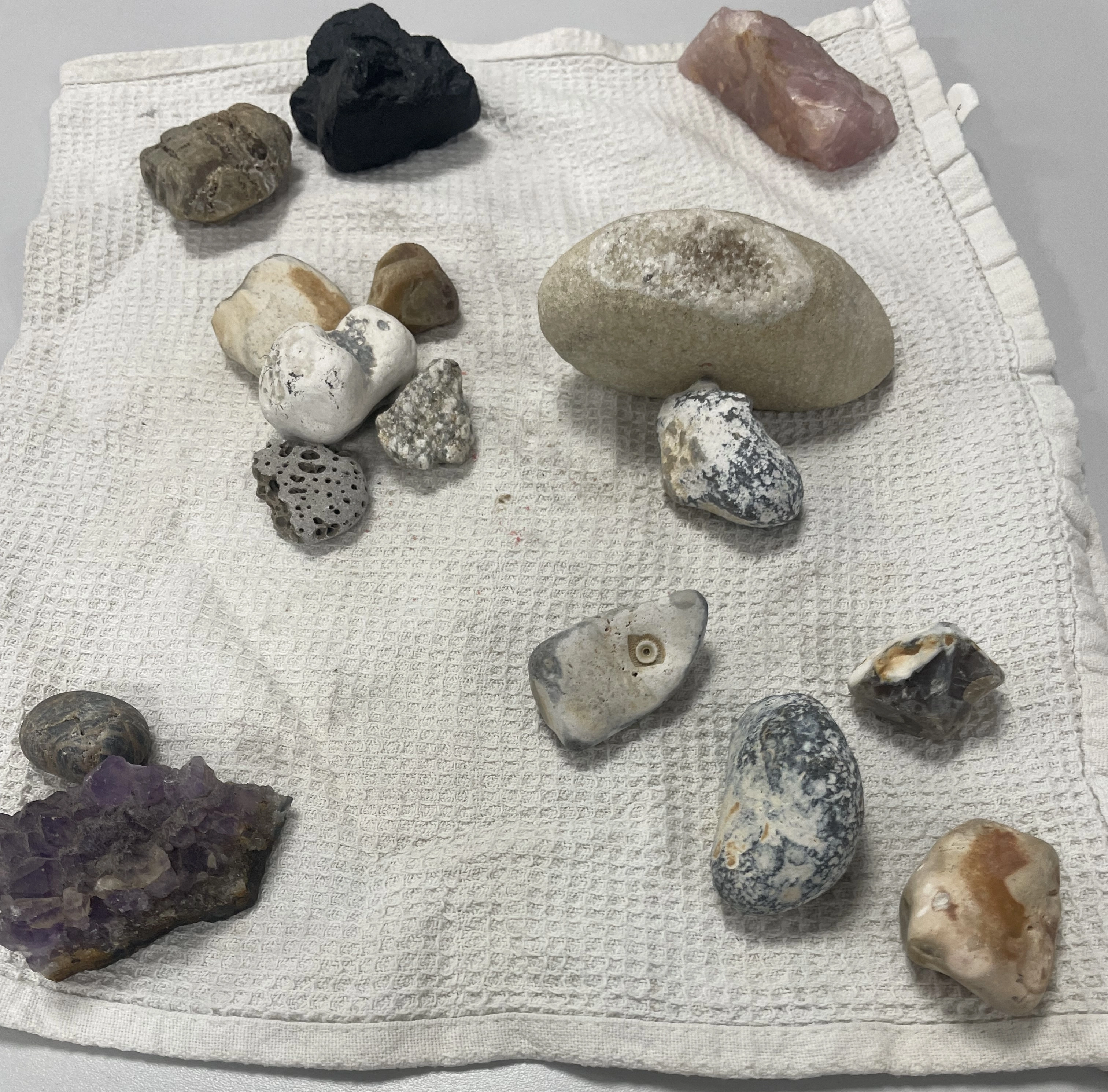 Stones arranged to represent relational dynamics as part of a coaching session