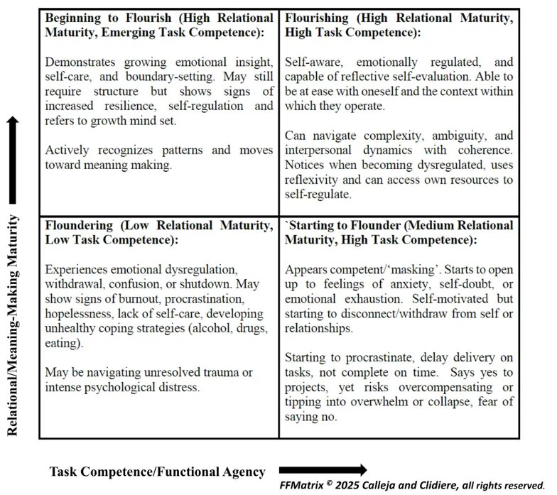 Figure 1. Flounder–Flourish Matrix