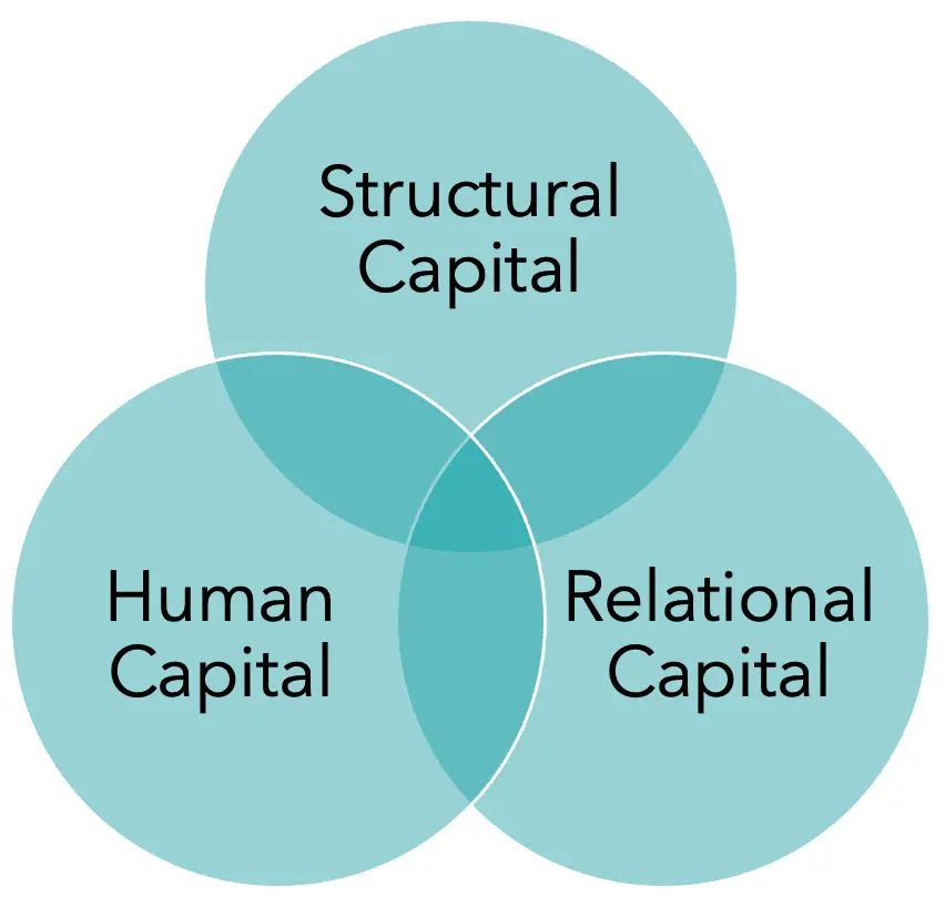 venn diagram showing overlap between structural, human and relational capital