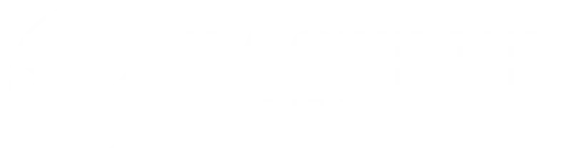 PNLink logo