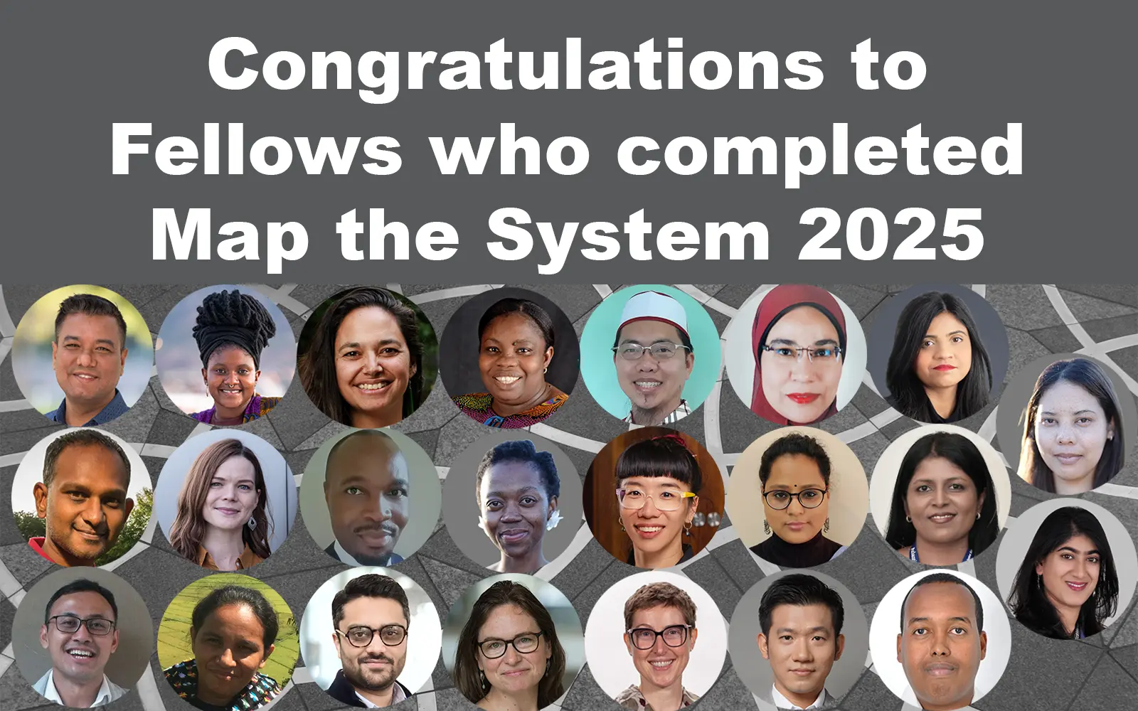 Fellows who completed Map the System in 2025