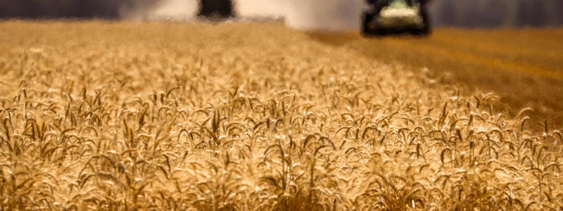 Australia’s Winter Crop Output Forecast to Fall 21 Percent Amid Middle East Conflict