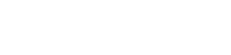 AMIS logo