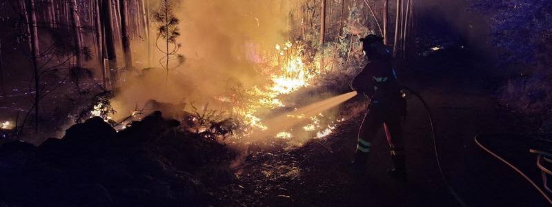EU deploys wildfire support to face multiple fires across Portugal and France