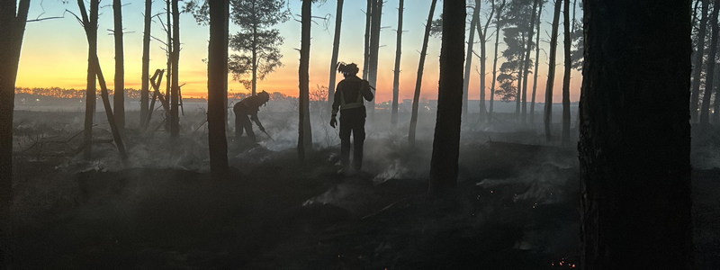 EU mobilises support as wildfires spread across Europe