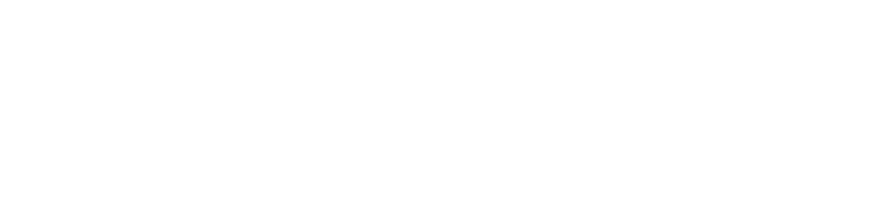 Sanoma Agency Partner logo