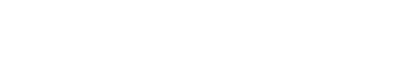 Sanoma Agency Partner logo