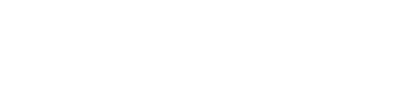 Deutsches ÄrzteBerater Netzwerk logo