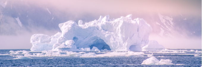 Five strategies for projects to become more sustainable