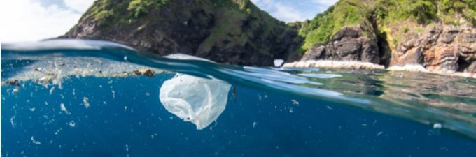 My project diary: cleaning up the world's oceans