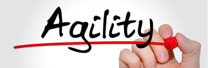 Will working with agility be the new norm now?
