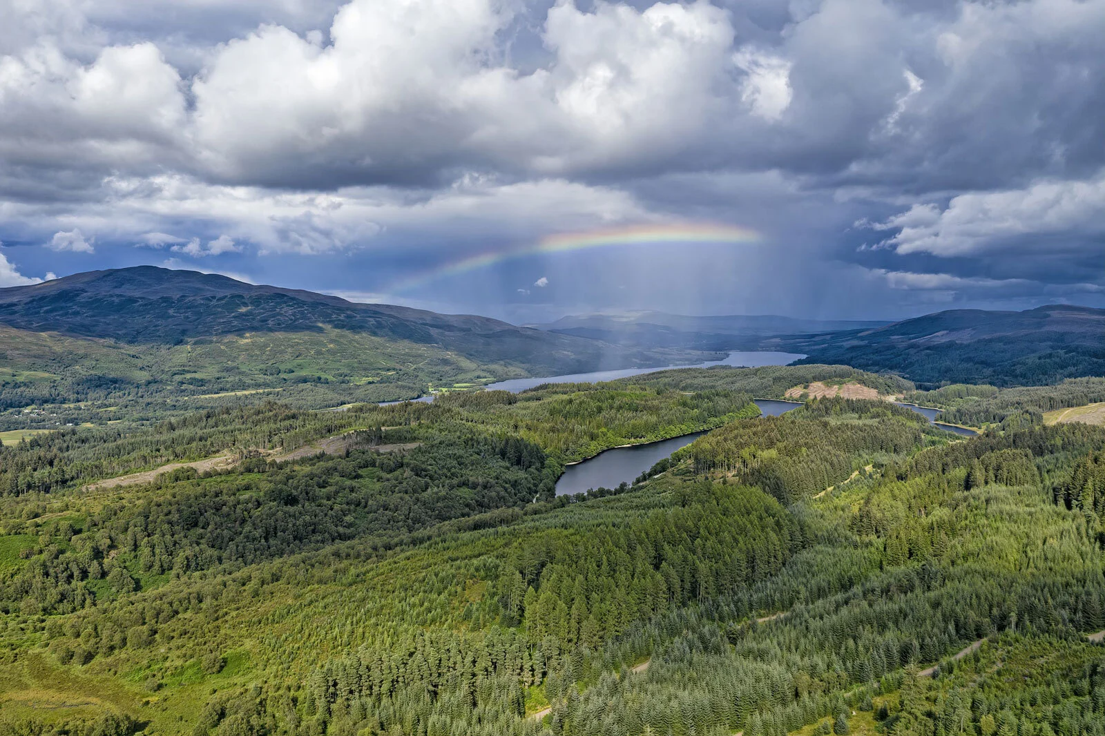 Queen Elizabeth Forest Park Scotland - ClimateCare in the UK