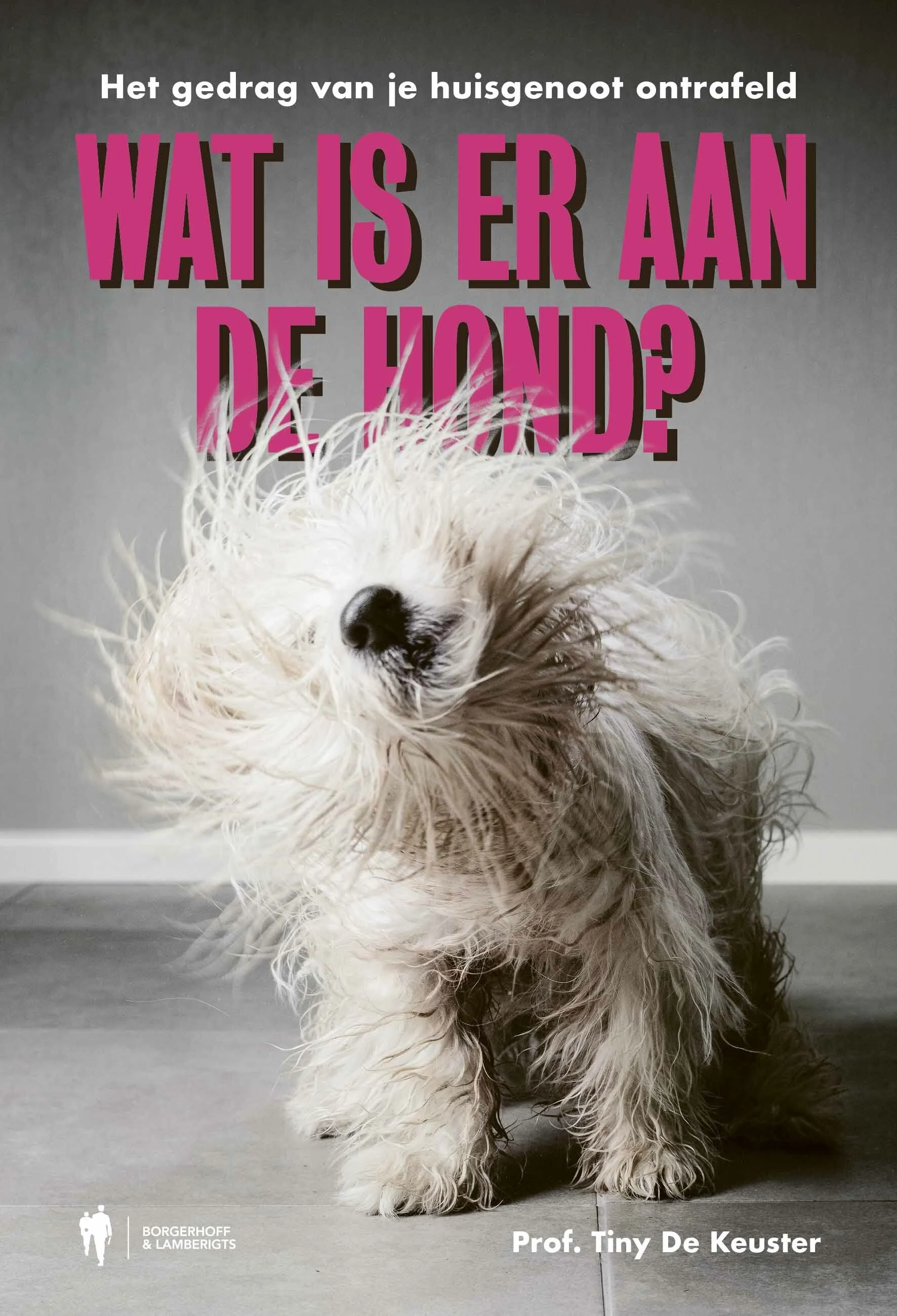 Wat is er aan de hond?