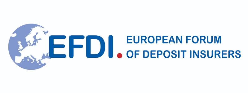 EFDI appoints Mr Daniel Nový as Co-Leader of the Cross-Border Working Group