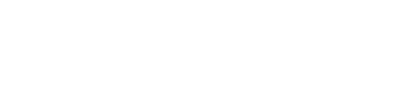 Logo de INB connect
