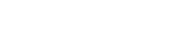 Logo von IREBS CORE