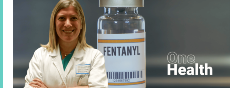 Fentanyl, Bignami (SIAARTI): «Fondamentale in anestesia, letale fuori dall’ospedale»