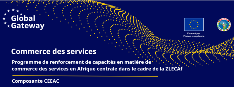 Atelier de Renforcement des Capacités en Plaidoyer et Commerce au Cameroun