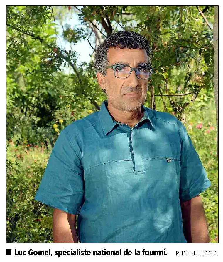 Luc Gomel - La gestion d'une fourmilière