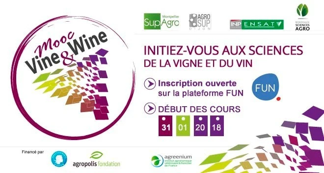 mooc Vine &