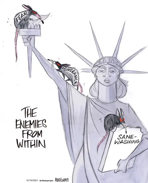 imrs.png