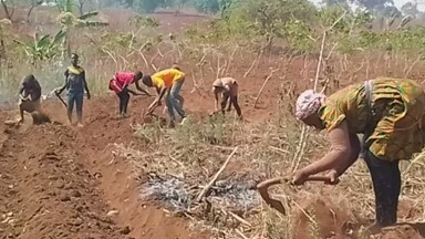 A group of farmers tilling soil.