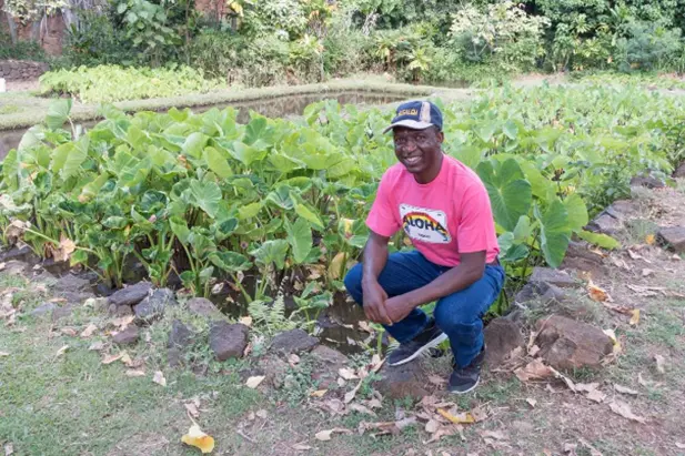 A man crouching in front of a crop of plants.