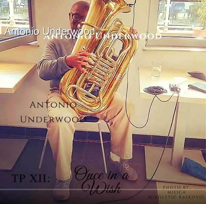 Once in a Wish CD cover