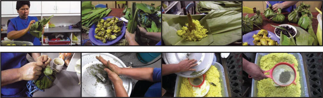 Screenshots from Maria Lino's videos