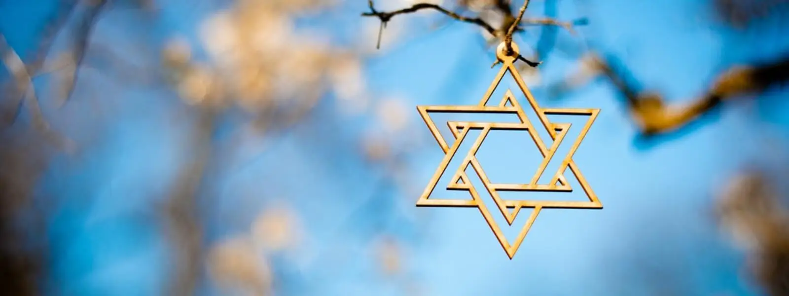 Fulbright Shalom